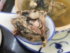 -達揚原味燉品(文明路店)