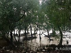 -宝安西湾红树林湿地公园