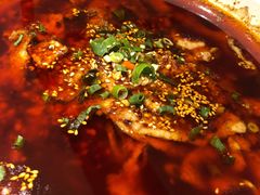 水煮肉片-YUOZUO渝作·川渝冒肚(崂山店)