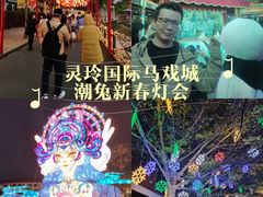 -灵玲国际马戏城
