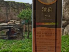 -杭州野生动物世界