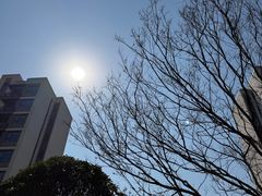-星伦多自助料理·涮烤一体(江桥万达店)