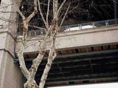 -武汉关码头(轮渡站)