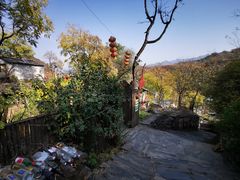 -南窖乡水峪村山情农家