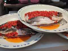 -森谷美食公园(杨行店)