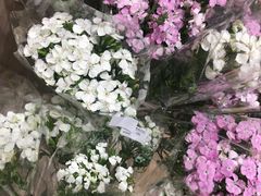 -AEON永旺(东方宝泰店)