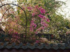 -深圳国际园林花卉博览园