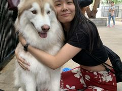 -TrueLove @ Neverland (Husky Cafe)