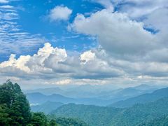 -瓦屋山景区