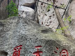 -崂山仰口游览区