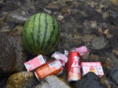 -都江堰玫瑰花溪谷