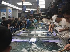 -盒马鲜生(大成店)