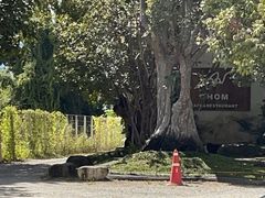 -Chom Cafe and Restaurant