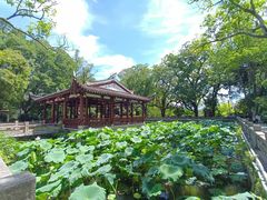 -西湖公园(鼓楼区)