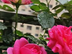 -吉友粥底火锅(方斜路店)