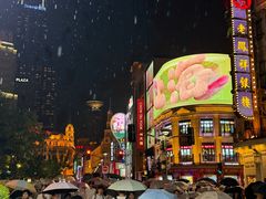 -沈大成(南京东路店)