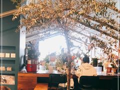 -Seesaw Coffee(深圳万象天地店)