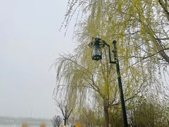 -水西公园