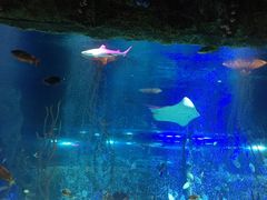 -沈阳海洋探索中心