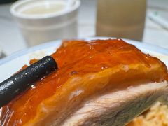 烧鹅-肥小福·烧鹅专门店(环宇荟店)