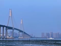 -中澳友谊花园