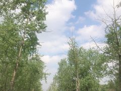 -白鹭湾湿地公园