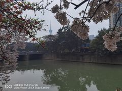 -红星桥(地铁站)