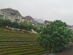 -聚会山庄·派对会议团建别墅轰趴馆(中兴和园店)