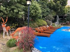 -杭州第一世界大酒店·云曼温泉