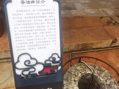 -真庆观