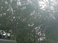 -元大都城垣遗址公园