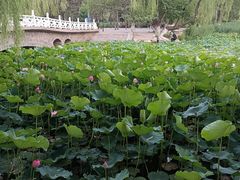 -满都海公园