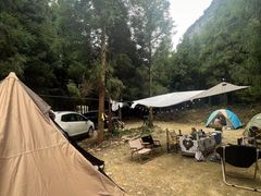 -重庆睡佛山森林公园