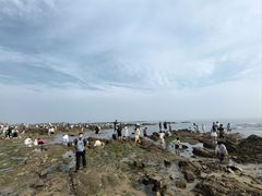 -青岛第二海水浴场