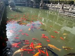 -海天楼中餐厅(吴宫泛太平洋酒店)