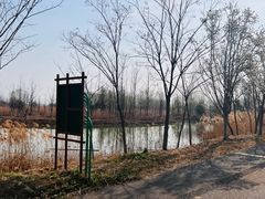 -泗洪洪泽湖湿地景区