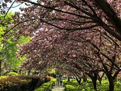 -洛阳市隋唐城遗址植物园