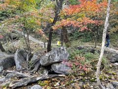 -玉渡山自然风景区