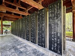 -碑林公园