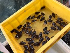 -美未居·老字号·地道顺德菜·桑拿鸡·鱼生(容桂店)