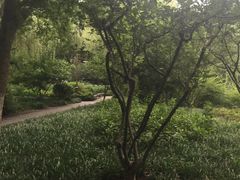 -墅园
