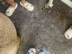 -将军关探险漂流