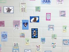 -叮叮猫儿(西村店)