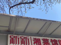 -新新湘菜馆(新中街二条店)