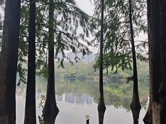 -重庆彩云湖湿地公园