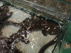 -海景壹号大酒店(惠钱路店)