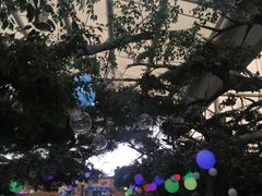 -杭州浪浪浪水公园
