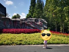 -东平国家森林公园