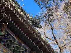 -潭柘寺景区