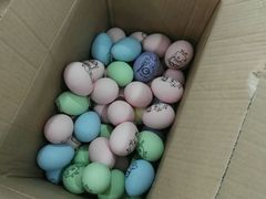 -上海市曹杨职业技术学校